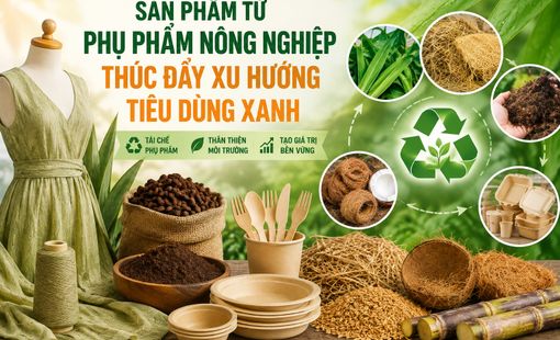 “Đánh thức” phụ phẩm nông nghiệp, mở đường cho xu hướng tiêu dùng xanh