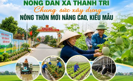 Nông dân Thanh Trì chung sức xây dựng nông thôn mới nâng cao, kiểu mẫu