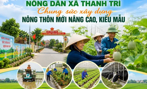 Nông dân Thanh Trì chung sức xây dựng nông thôn mới nâng cao, kiểu mẫu
