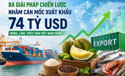 Ba giải pháp chiến lược giúp xuất khẩu nông, lâm, thủy sản hướng tới mục tiêu 74 tỷ USD năm 2026