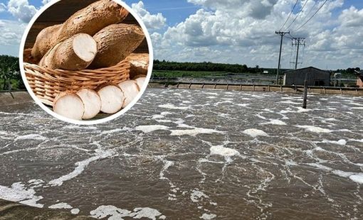 Nước thải từ xưởng làm miến, bún, tinh bột được xử lý bằng cách nào?