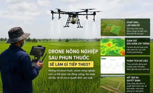 Drone nông nghiệp sau phun thuốc sẽ làm gì tiếp theo?