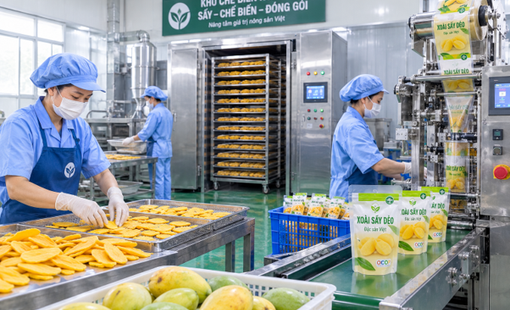 Xưởng chế biến “3 trong 1” đang xuất hiện ở nông thôn