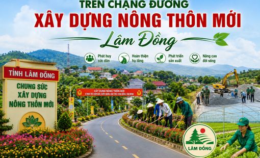 Lâm Đồng nâng chất nông thôn mới từ sức dân và sinh kế bền vững