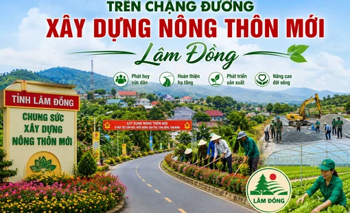 Lâm Đồng nâng chất nông thôn mới từ sức dân và sinh kế bền vững