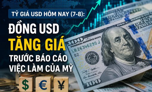Tỷ giá USD hôm nay (7/8): Đồng USD tăng giá khi thị trường chờ báo cáo việc làm của Mỹ