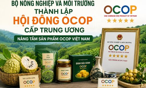 Bộ Nông nghiệp và Môi trường thành lập Hội đồng OCOP cấp Trung ương, nâng tầm sản phẩm OCOP Việt Nam