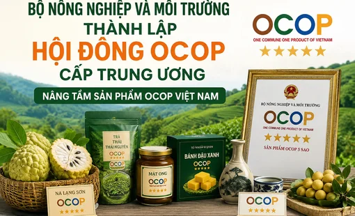 Bộ Nông nghiệp và Môi trường thành lập Hội đồng OCOP cấp Trung ương, nâng tầm sản phẩm OCOP Việt Nam