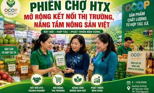 Phiên chợ HTX mở rộng kết nối thị trường, nâng tầm nông sản Việt