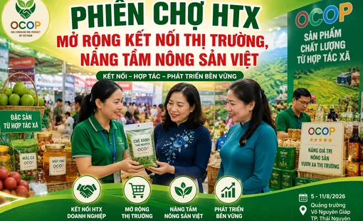 Phiên chợ HTX mở rộng kết nối thị trường, nâng tầm nông sản Việt