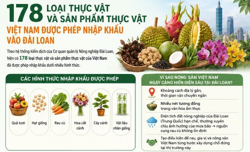 [Infographic] 178 loại thực vật và sản phẩm thực vật Việt Nam được phép nhập khẩu vào Đài Loan