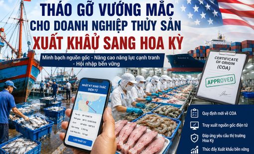 Tháo gỡ vướng mắc, tạo thuận lợi cho doanh nghiệp thủy sản xuất khẩu sang Hoa Kỳ