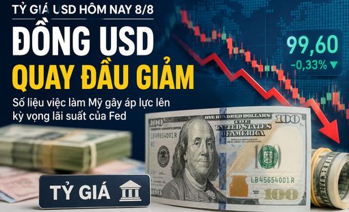 Tỷ giá USD hôm nay 8/8: Đồng USD quay đầu giảm sau dữ liệu việc làm Mỹ