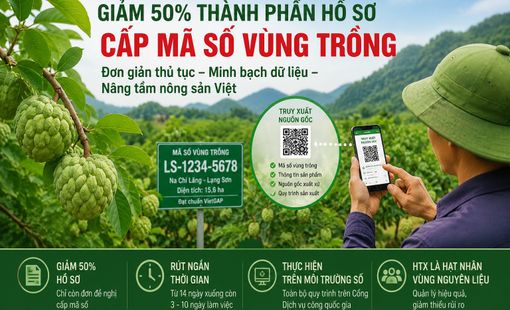 Giảm 50% thành phần hồ sơ cấp mã số vùng trồng, rút ngắn thời gian giải quyết