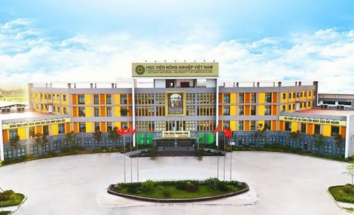 Điểm chuẩn Học viện Nông nghiệp Việt Nam năm 2026