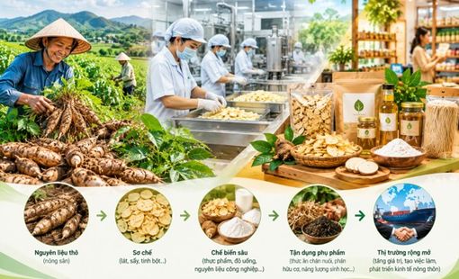 Một nguyên liệu, nhiều tầng giá trị: Vì sao chế biến đang mở ‘mỏ vàng’ cho nông thôn?