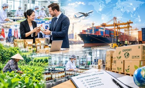 Doanh nghiệp nông thôn ra thị trường quốc tế: Từ đơn hàng đầu tiên đến chuỗi cung ứng