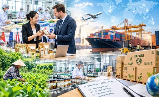 Doanh nghiệp nông thôn ra thị trường quốc tế: Từ đơn hàng đầu tiên đến chuỗi cung ứng