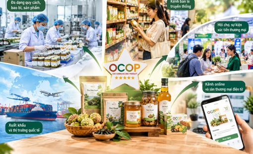 Đạt sao OCOP, nhiều “đường” đưa sản phẩm công nghiệp nông thôn ra thị trường