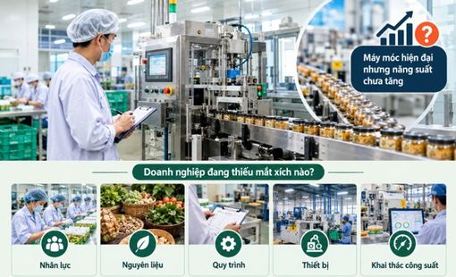 Máy móc hiện đại nhưng năng suất chưa tăng: Doanh nghiệp đang thiếu mắt xích nào?