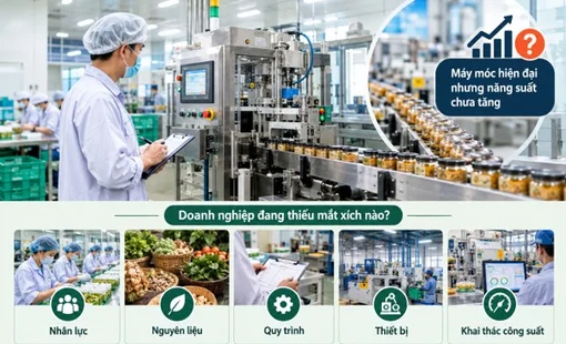 Máy móc hiện đại nhưng năng suất chưa tăng: Doanh nghiệp đang thiếu mắt xích nào?