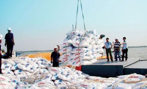 Xuất khẩu phân bón tăng mạnh, nhập khẩu giảm sâu