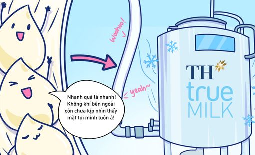 Hành trình khép kín hoàn hảo của giọt sữa tươi sạch TH true MILK