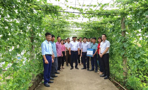 Ninh Bình: Từ liên kết chuỗi đến nâng tầm giá trị nông sản