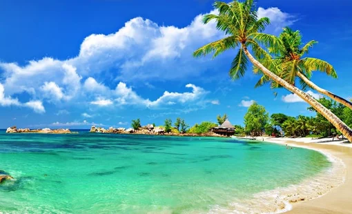 Việt Nam vào top 3 điểm đến châu Á có tỷ lệ du khách quay lại cao nhất
