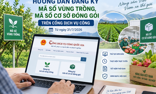 Hướng dẫn đăng ký mã số vùng trồng, mã số cơ sở đóng gói trên Cổng Dịch vụ công