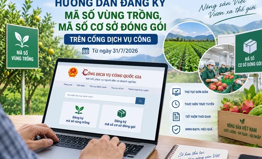 Hướng dẫn đăng ký mã số vùng trồng, mã số cơ sở đóng gói trên Cổng Dịch vụ công