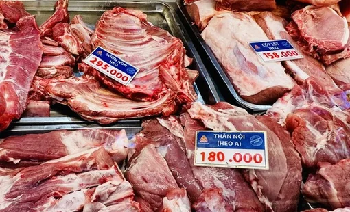 Giá heo hơi hôm nay 12/9: Mất mốc 60.000 đồng/kg