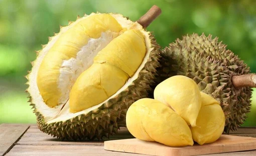 Giá sầu riêng hôm nay 13/9: Sầu riêng Thái VIP lên mức 95.000 đồng/kg