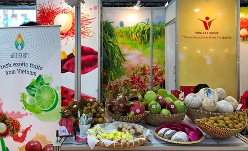 Giá nông sản hôm nay 13/9: Tiêu đi ngang, cà phê giảm, gạo nguyên liệu tăng