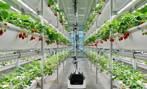 Nông nghiệp chuyển mình từ “bệ đỡ” thành động lực tăng trưởng mới