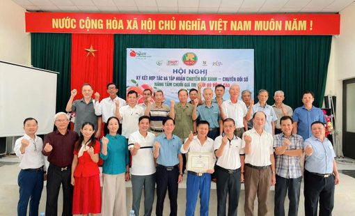 Bưởi đỏ Đông Cao – Từ tâm huyết người trồng đến giá trị nông sản địa phương