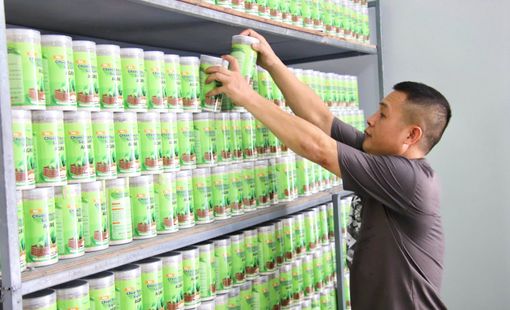 Từ trái chuối quê đến sản phẩm nông nghiệp công nghệ cao, AGRECO nâng giá trị nông sản Việt