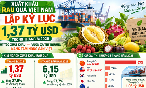 [Infographic] Xuất khẩu rau quả lập kỷ lục 1,37 tỷ USD trong tháng 8 năm 2026