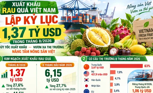 [Infographic] Xuất khẩu rau quả lập kỷ lục 1,37 tỷ USD trong tháng 8 năm 2026