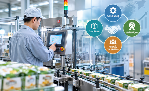 Có máy móc mới, vì sao đơn hàng chưa mới?