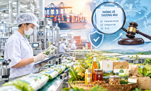 Công nghiệp nông thôn trước “bài kiểm tra” phòng vệ thương mại: Cơ hội để nâng chuẩn