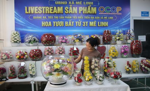Hoa khô Mê Linh – hành trình lưu giữ vẻ đẹp của những mùa hoa