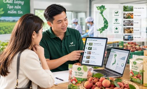 Khách hàng hỏi dữ liệu, doanh nghiệp nông thôn có gì để trả lời?