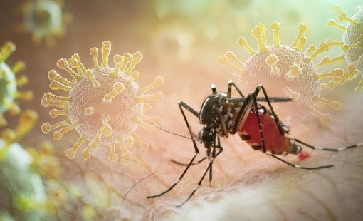 Sốt xuất huyết Dengue: Nhiều ca bệnh phức tạp, cảnh báo nguy cơ chủ quan