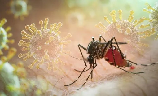 Sốt xuất huyết Dengue: Nhiều ca bệnh phức tạp, cảnh báo nguy cơ chủ quan