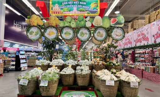 Hàng nông thôn vào siêu thị: Vì sao sản phẩm tốt vẫn phải vượt thêm một cửa?