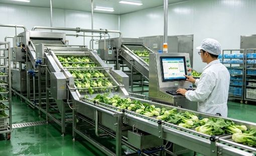 Cơ giới hóa sau thu hoạch: Mắt xích còn thiếu để giữ giá trị nông sản