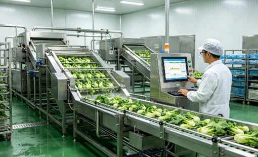 Cơ giới hóa sau thu hoạch: Mắt xích còn thiếu để giữ giá trị nông sản