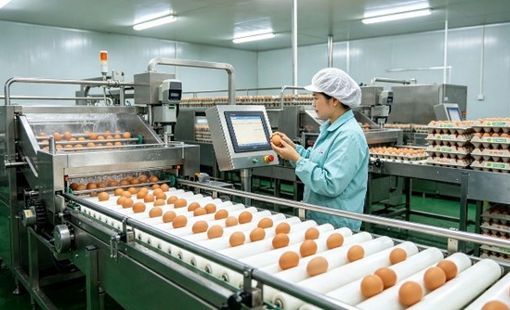 Doanh nghiệp công nghiệp nông thôn: Đầu tư đúng chỗ, nông sản thêm giá trị