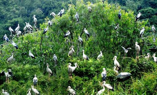 Tổ chức lại không gian sản xuất, mở hướng phát triển nông nghiệp Ninh Bình